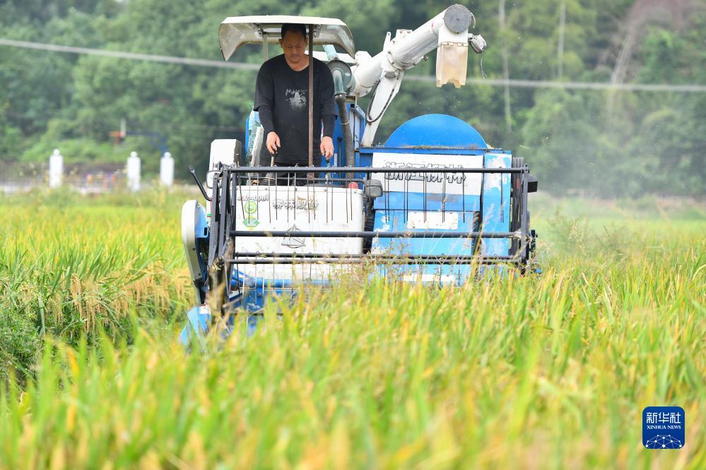 乐虎游戏官网